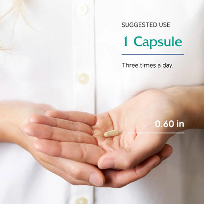 Extracto De Ginkgo Biloba 90 Capsulas 24 Glucosidos De Flavona Salud Cerebral Y Circulacion
