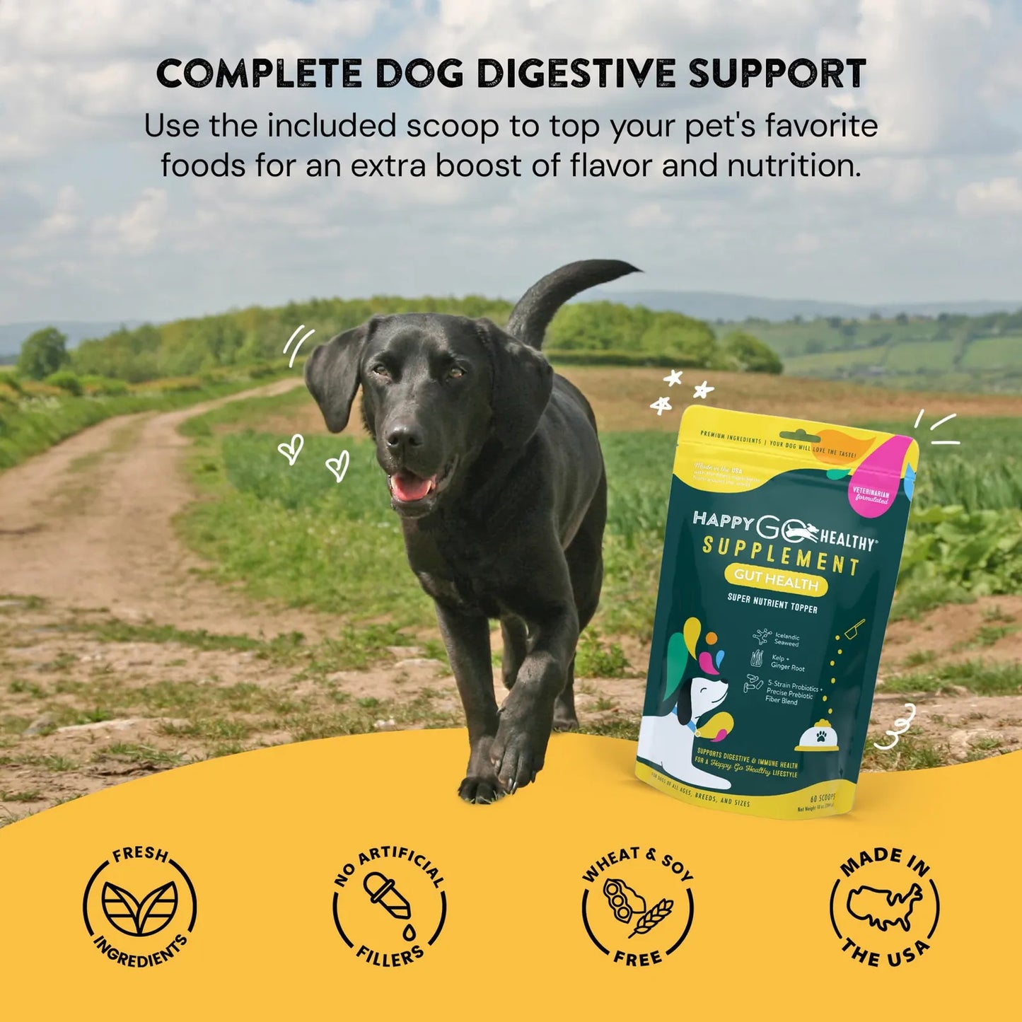 Suplemento De Probióticos Para Perros Salud Intestinal Y Digestiva Importado EE UU