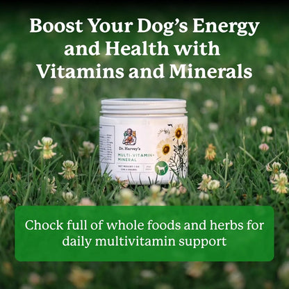 Suplemento Multivitaminico Mineral Hierbas Para Perros Dr Harvey Importado