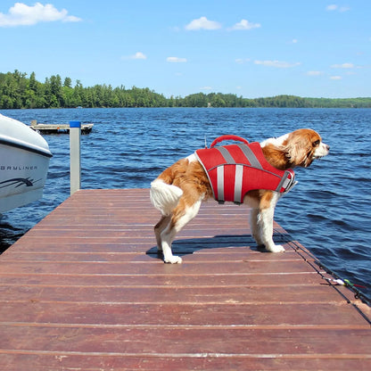 Chaleco Salvavidas Para Perros Kuoser Con Rayas Reflectantes Y Alta Flotabilidad