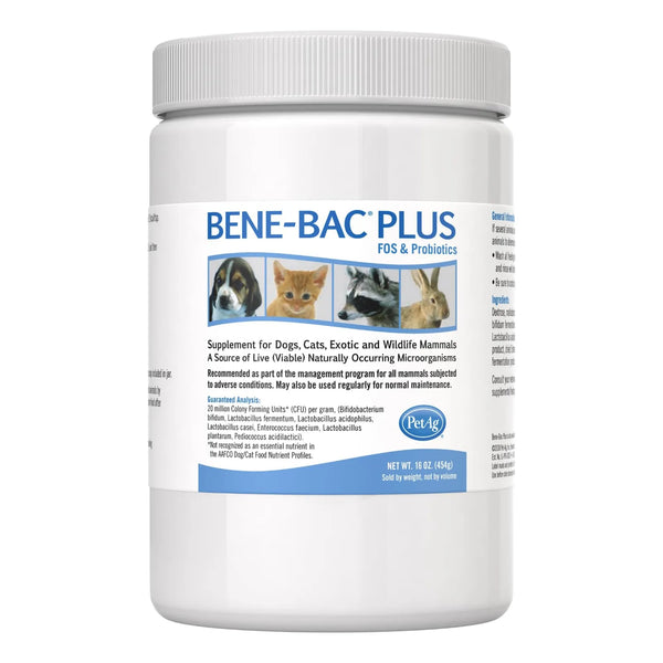 Bene Bac Plus Polvo Probiótico 1 Libra Para Perros Gatos Y Mascotas Exóticas
