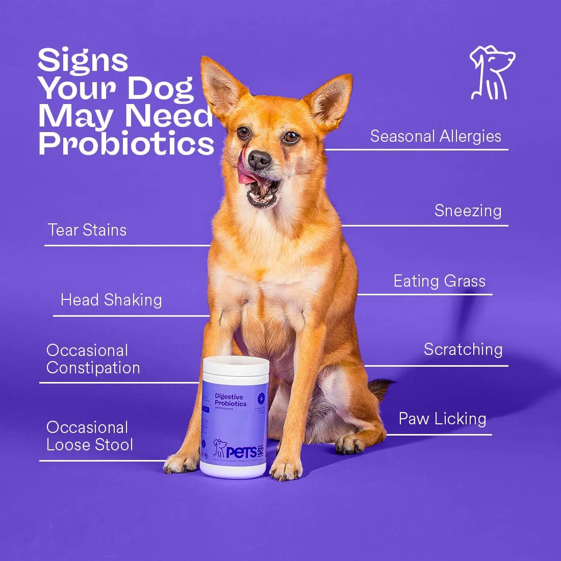 Pets52 Probióticos Digestivos Para Perros Con Enzimas Apoyo Intestinal 60 Masticables