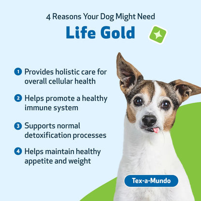 Suplemento Life Gold Para Perros Y Gatos Apoyo Natural Contra Cáncer 2 Onzas