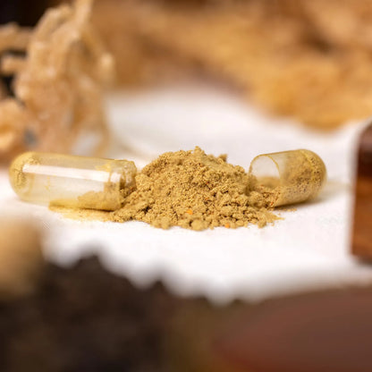 Capsulas Musgo Marino Aceite Semilla Negra Ashwagandha 120 Unidades Soporte Inmunologico Digestivo