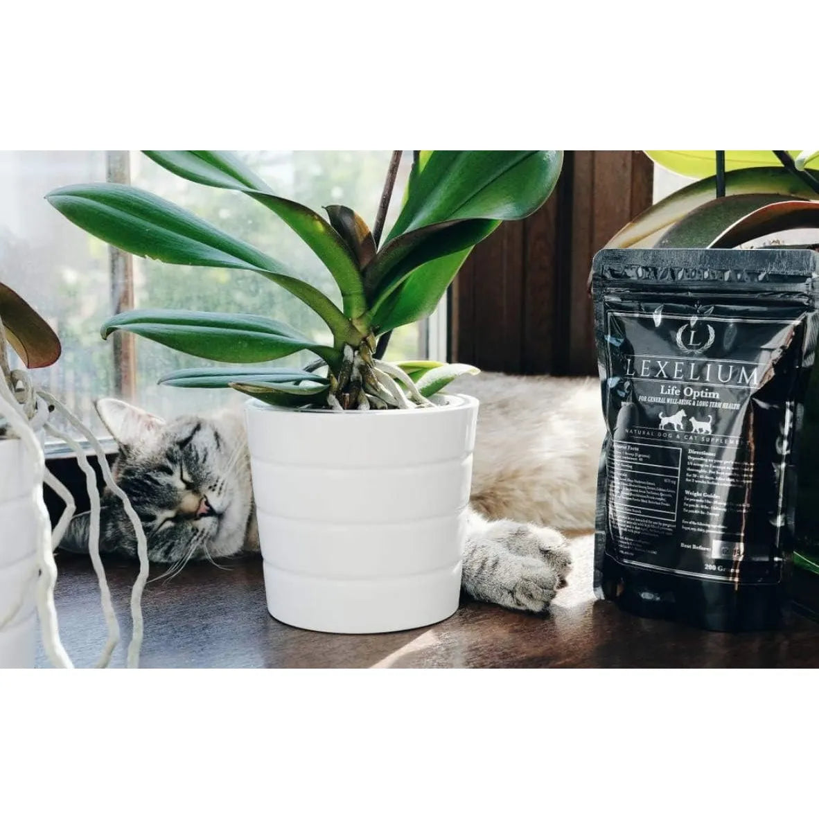 Mezcla Natural Life Optim Para Enfermedades Terminales En Perros Y Gatos 100 Efectiva