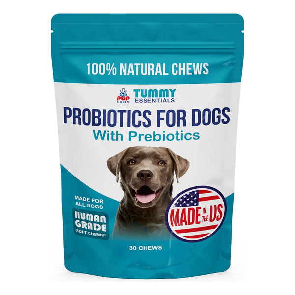 Probióticos Esenciales Para Perros Salud Intestinal Y Bienestar