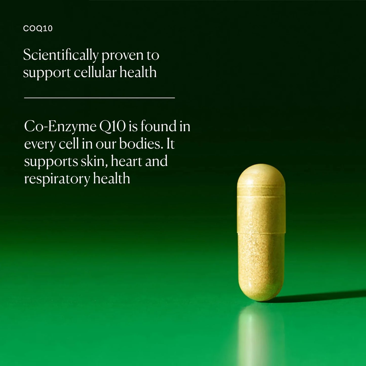Capsulas Energéticas Antioxidantes COQ10 30 Unidades Soporte Piel Y Corazón