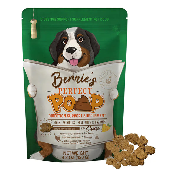 Suplemento Digestivo Para Perros Fibra Prebióticos Probióticos Salud Intestinal