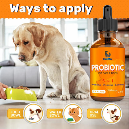 Probióticos Y Enzimas Digestivas Para Perros Y Gatos Mejora La Digestión Y Salud Intestinal