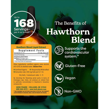 Extracto Liquido De Espino Para Apoyo Cardiovascular Y Circulatorio 4 Onzas