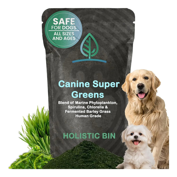 Suplemento Nutricional Vegano Para Perros Con Fitoplancton Marino Y Superalimentos