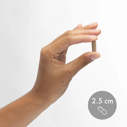 Beta Glucanos Fermentados 60 Capsulas Apoyo Inmune Certificado NSF