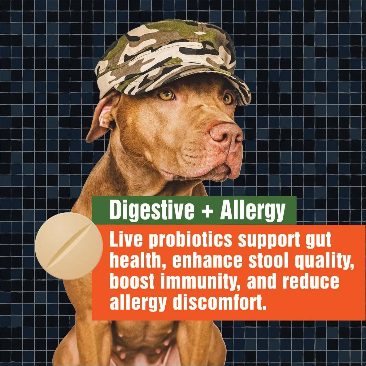 Probióticos Para Perros Alivia Picazón Piel Digestión E Inmunidad