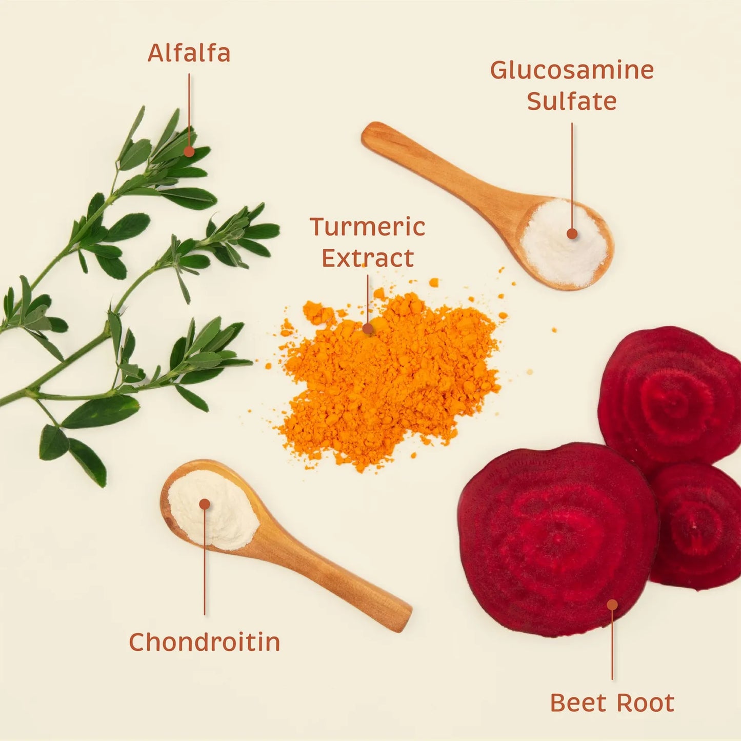 Suplemento Articulaciones Perros Con Glucosamina Y Antioxidantes 100 Obleas