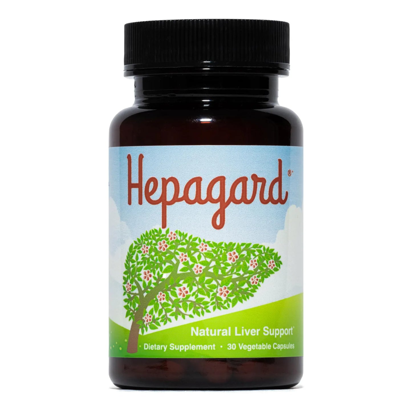 Suplemento Natural Hígado N Acetil Cisteína 600mg 120 Cápsulas Desintoxicación Hepática