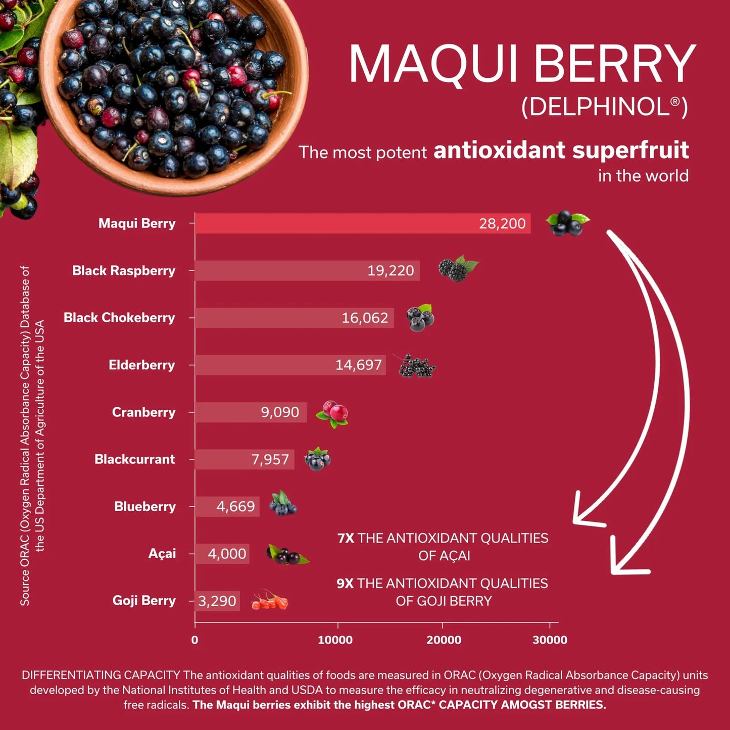 Cápsulas Antioxidantes Baya Maqui Mejora Circulación 30 Unidades
