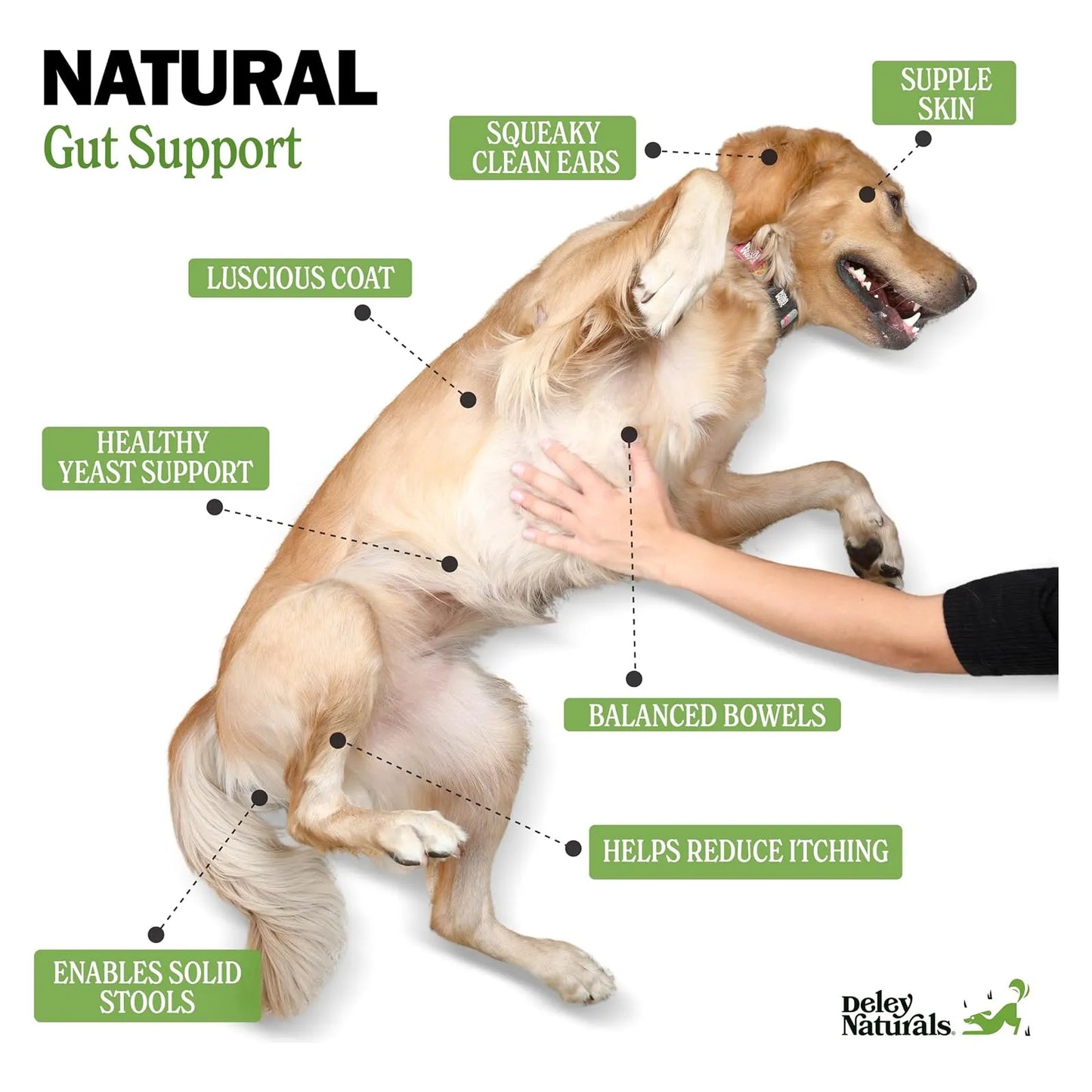 Masticables Probióticos Para Perros 4 Mil Millones Ufc Salud Digestiva