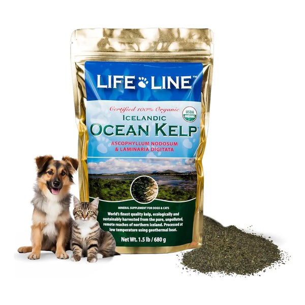 Alga Kelp Organica 680g Cocina Saludable Importado Eeuu Envio Gratis