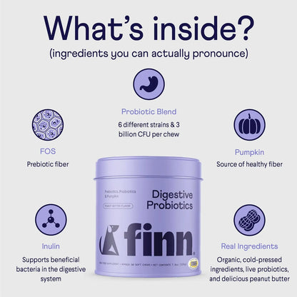 Probióticos Digestivos Para Perros Con Calabaza Soporte Intestinal E Inmunológico Finn