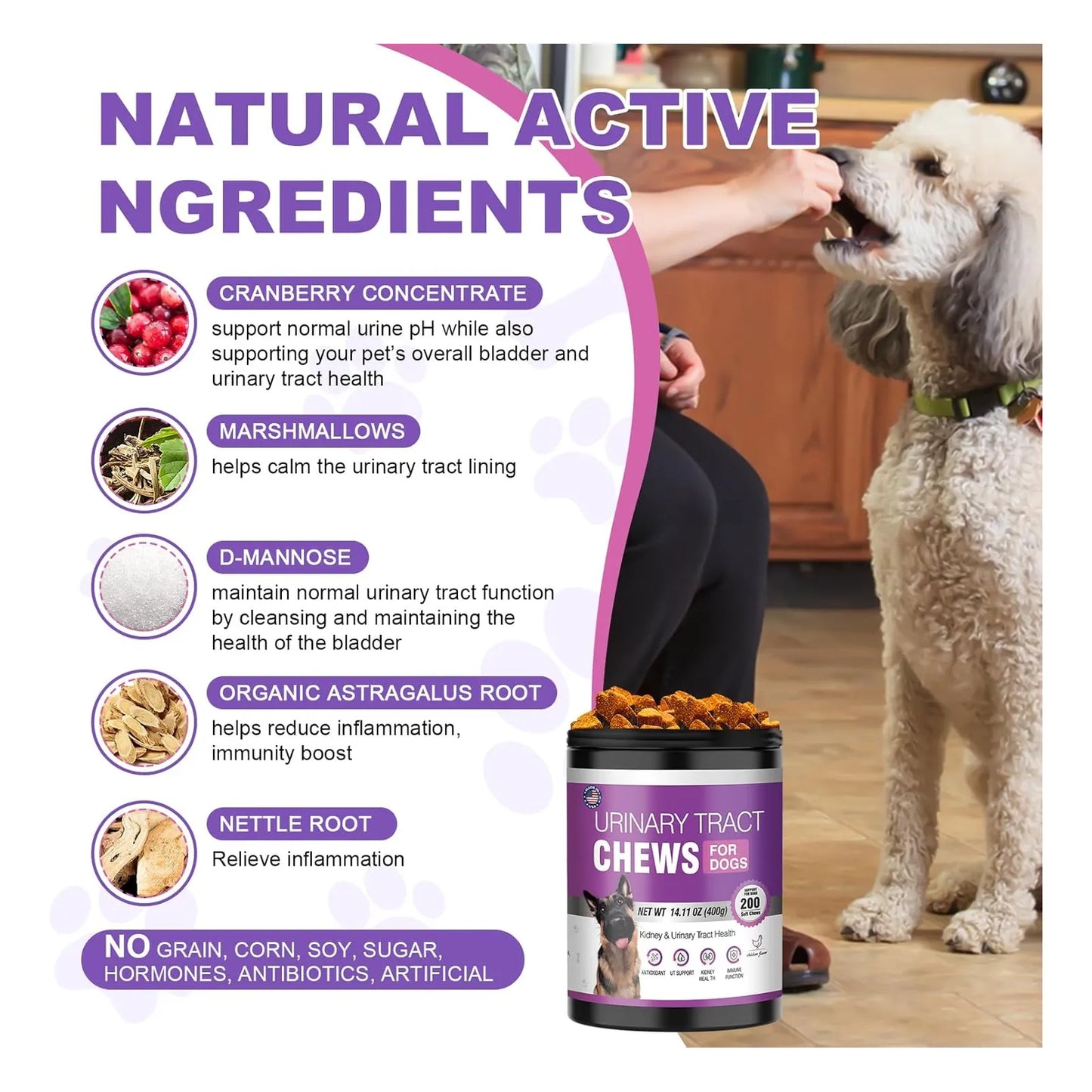 Masticables De Arándano Para Perros 200 Unidades Salud Urinaria Sabor Pollo