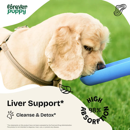 Cardo Mariano Líquido Para Perros Apoyo Hepático Natural 4 fl oz