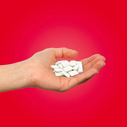 Chicles De Canela Pur 100 Xilitol Veganos Paquete 6 Unidades Sabor Intenso Y Cuidado Dental