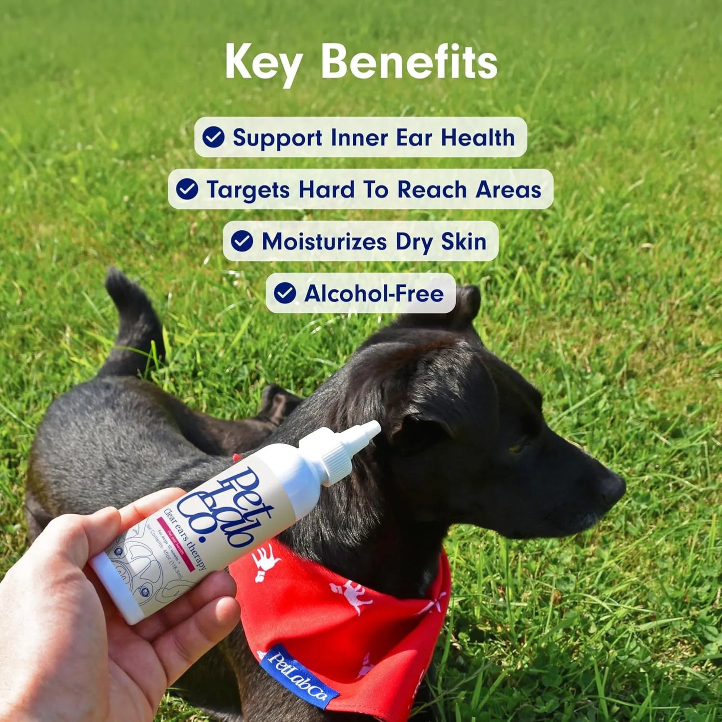 Limpiador De Oídos Para Perros PetLab Co Alivia Picazón Y Levadura 118ml