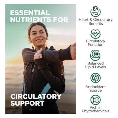 Extracto De Bergamota Citrica 1400 Mg 251 120 Capsulas Nutrivein Suplemento Premium