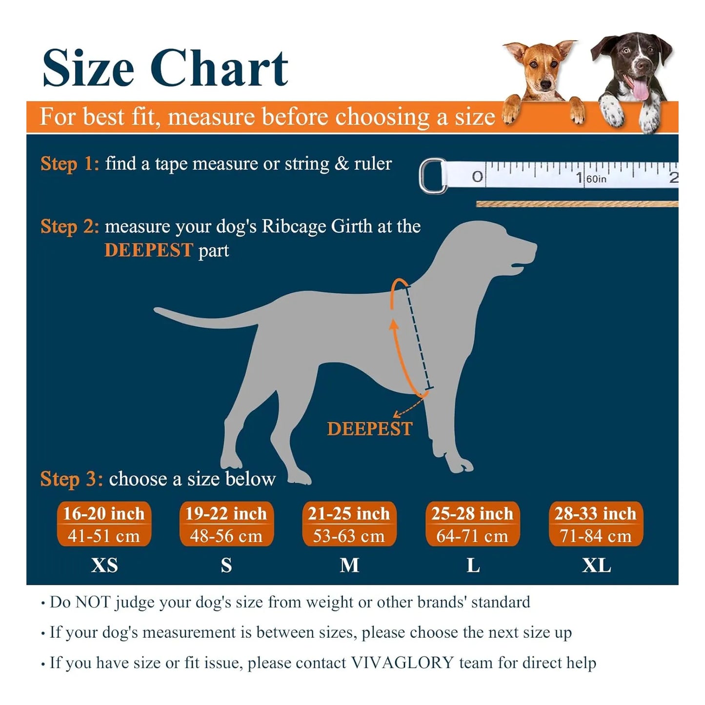 Chaleco Salvavidas Neopreno Para Perros Flotabilidad Superior VIVAGLORY