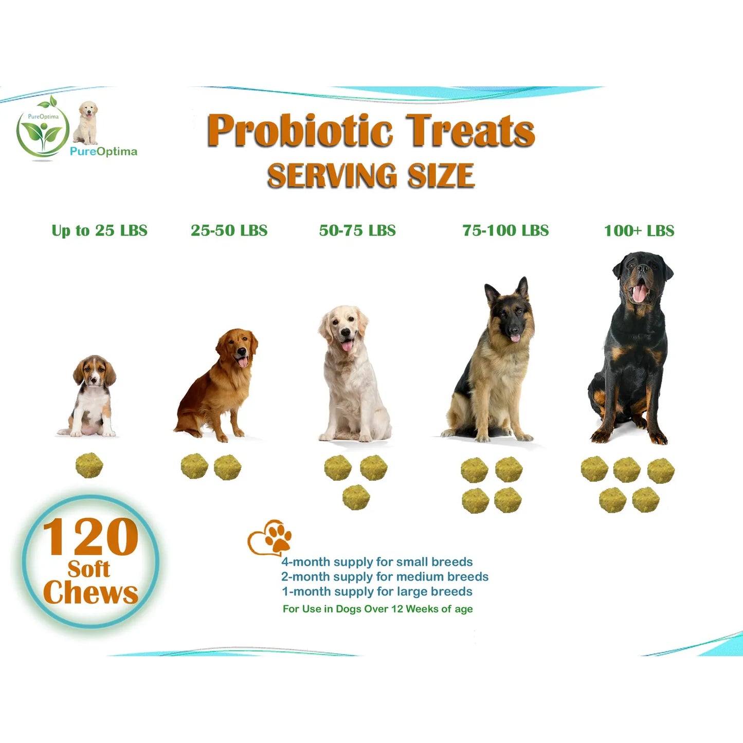 Probióticos Masticables Para Perros Con Enzimas Digestivas Mejora La Salud Intestinal