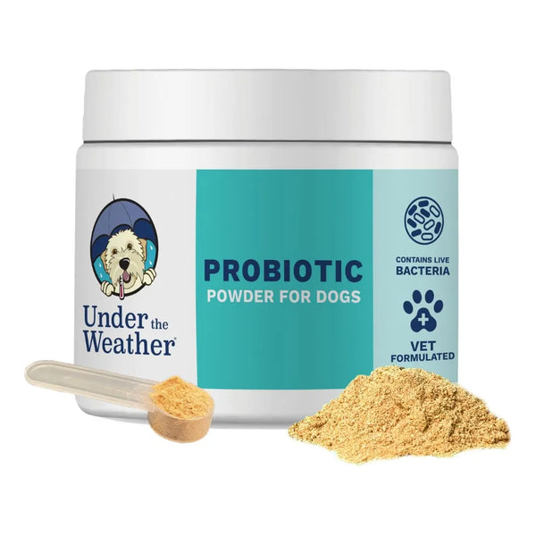 Polvo Probiótico Para Perros Formulado Por Veterinarios Digestión Saludable Y Sabor Pollo
