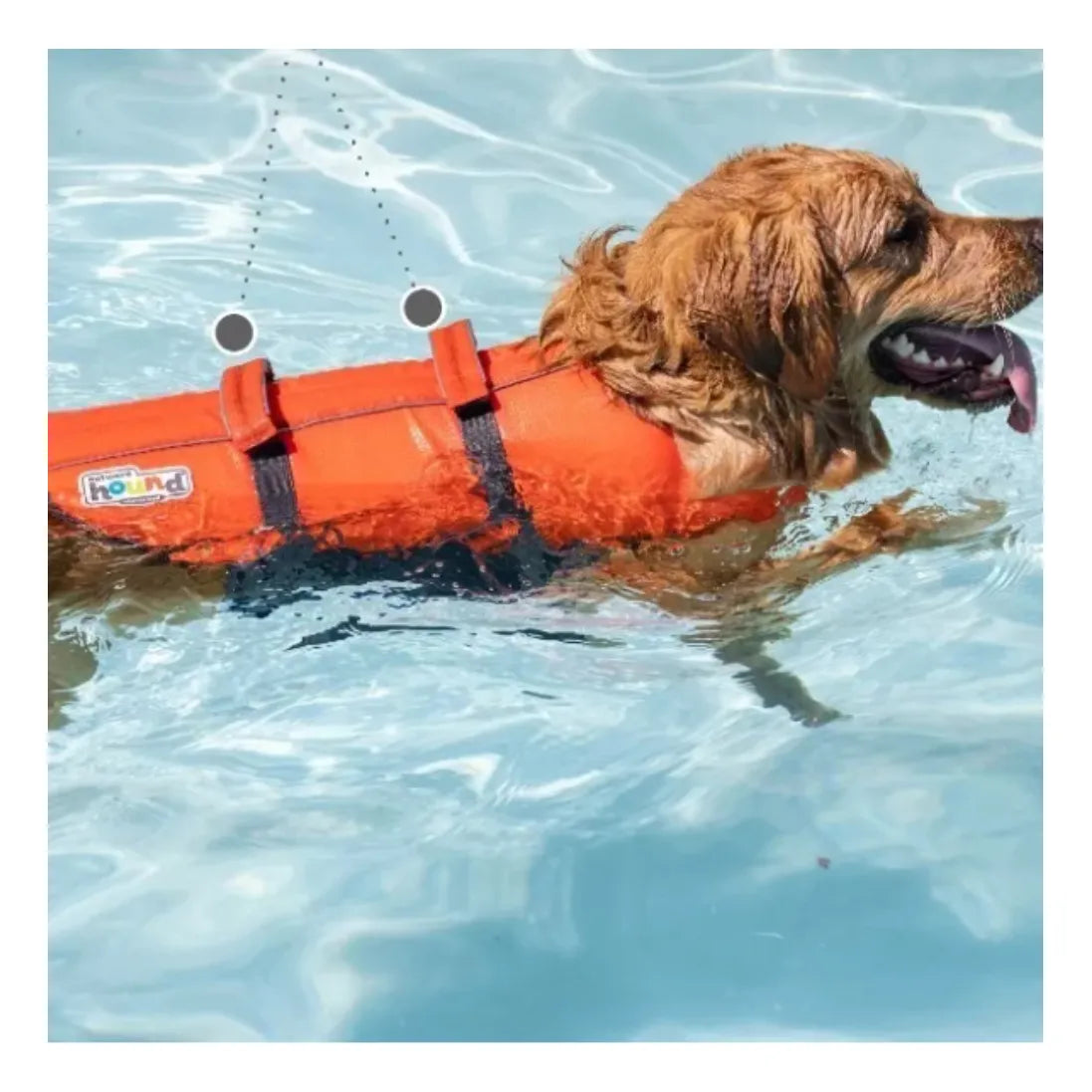 Chaleco Salvavidas Para Perro LG Large Outward Hound Naranja Seguridad Y Flotabilidad