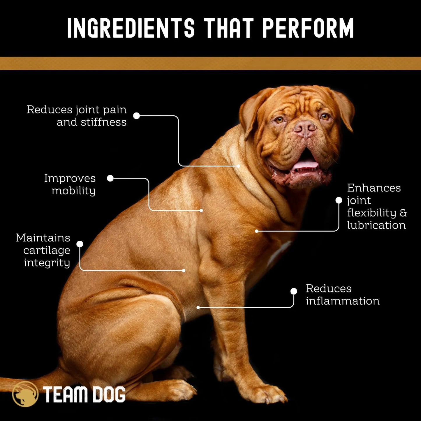 Masticables Para Perros De Cadera Y Articulaciones Con MSM Glucosamina Y Condroitina Sabor Pollo