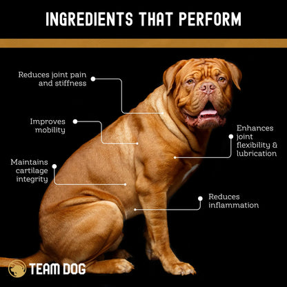Masticables Para Perros De Cadera Y Articulaciones Con MSM Glucosamina Y Condroitina Sabor Pollo