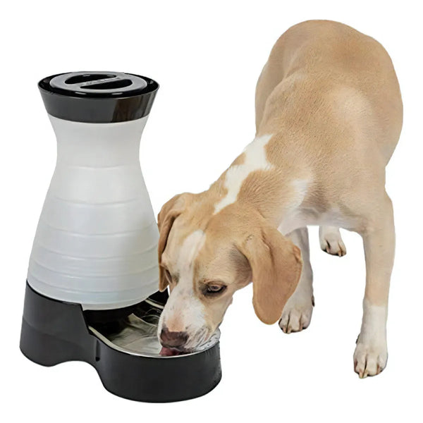 Petsafe Healthy Pet Water Station Sistema De Agua Para Perros Hidratacion Continua Y Fresca
