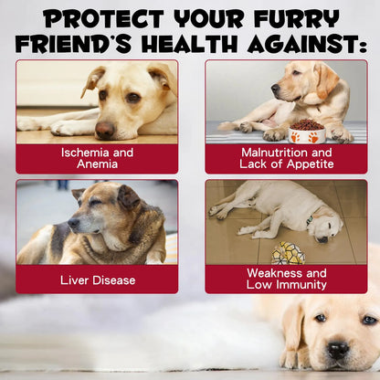 Hierro Líquido Para Perros Con Folato Y B12 Combate Anemia Y Aumenta Energía