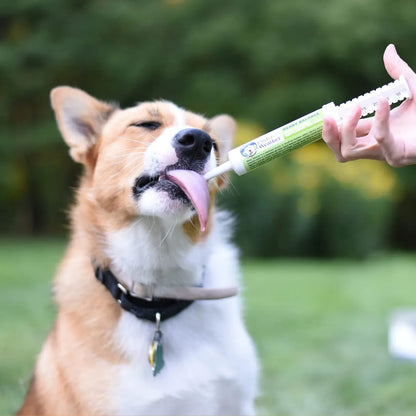 Gel Probiótico Y Prebiótico Oral Para Perros Equilibrio Digestivo Sabor Coco