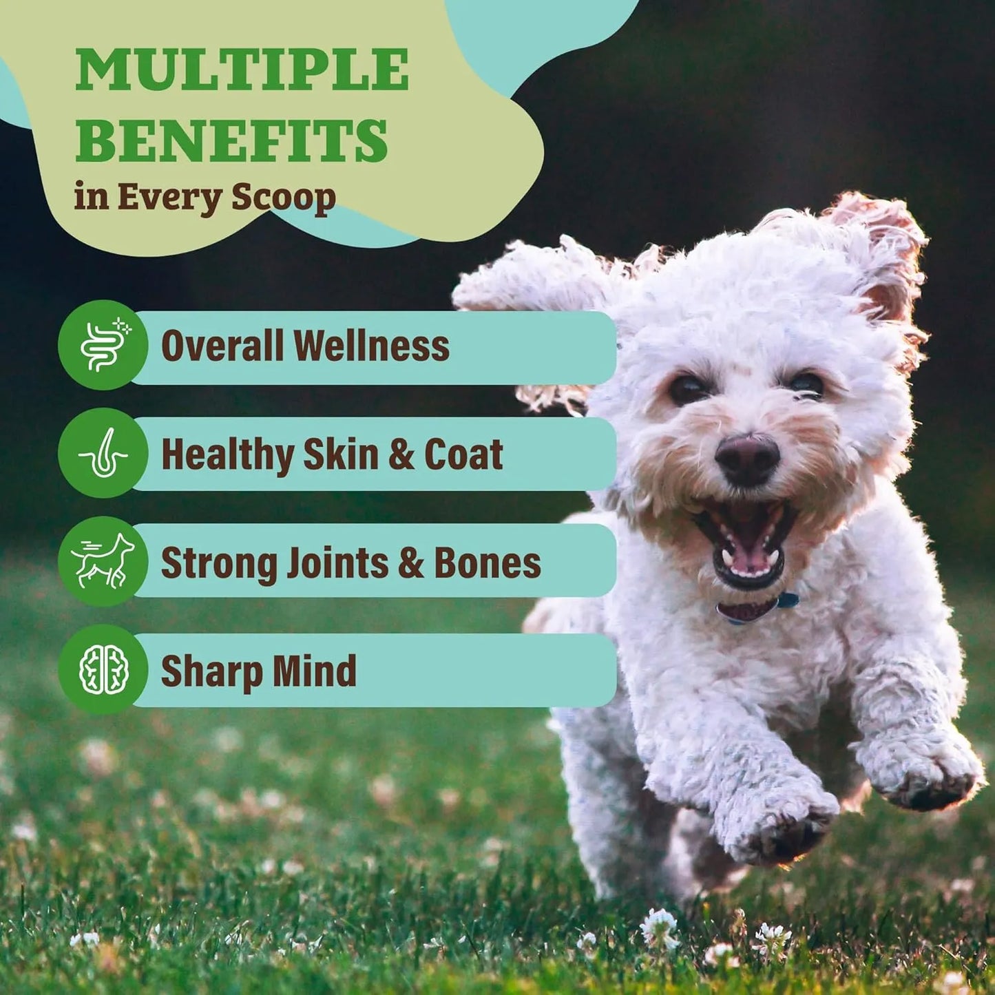 Mezcla Natural De Verduras Para Perros Fortalecedora De Inmunidad Y Digestión 8 Oz