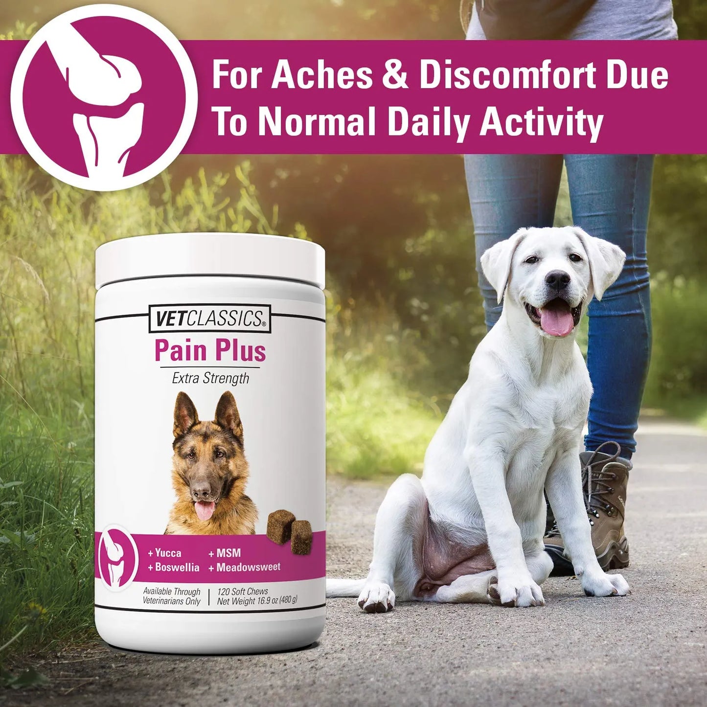 Suplemento Pain Plus Para Perros 120 Masticables Alivia Dolor Articular