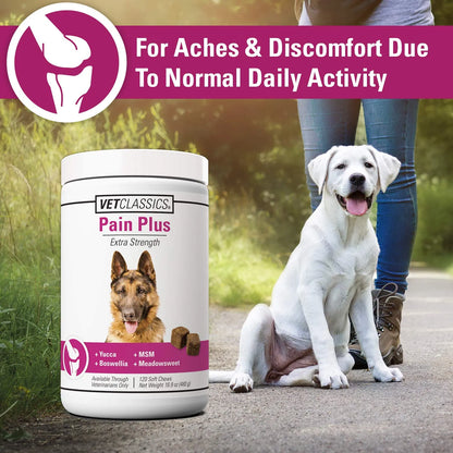Suplemento Pain Plus Para Perros 120 Masticables Alivia Dolor Articular
