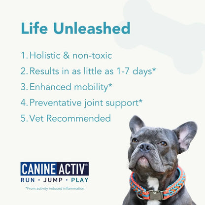 Capsulas Canine Activ Alivio Dolor Articular Perros Pequeños Con AlphaGee