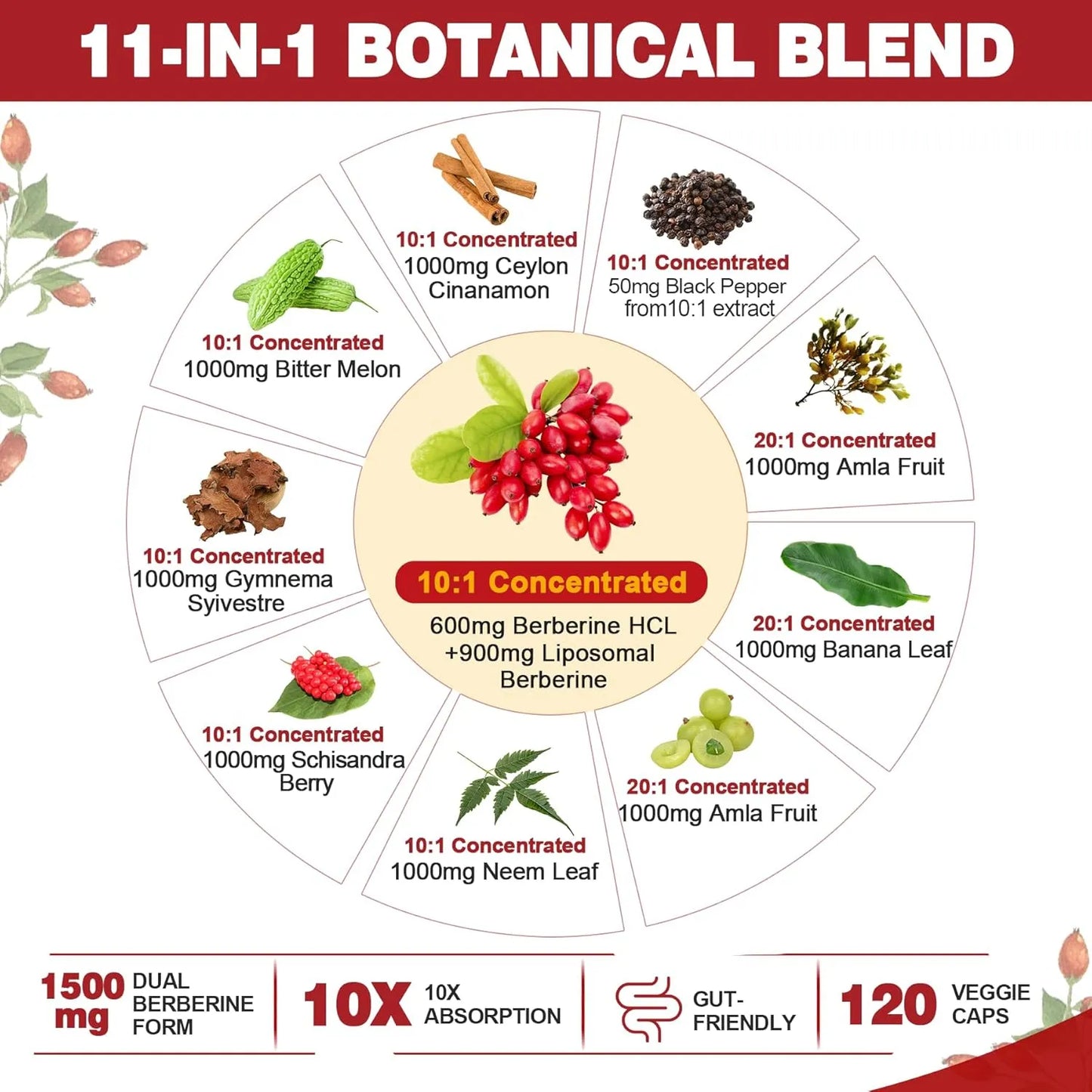 Berberina Orgánica 1500 Mg Con Melón Amargo Y Canela De Ceilán Suplemento Digestivo Y Metabólico