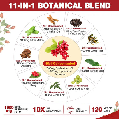Berberina Orgánica 1500 Mg Con Melón Amargo Y Canela De Ceilán Suplemento Digestivo Y Metabólico