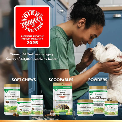 Probióticos Y Enzimas Masticables Para Perros Mejora Digestión Y Salud Intestinal