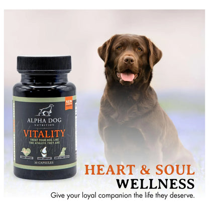 Aceite De Krill Para Perros Vitality By Reduce Alergias Picazon Y Cuida Articulaciones