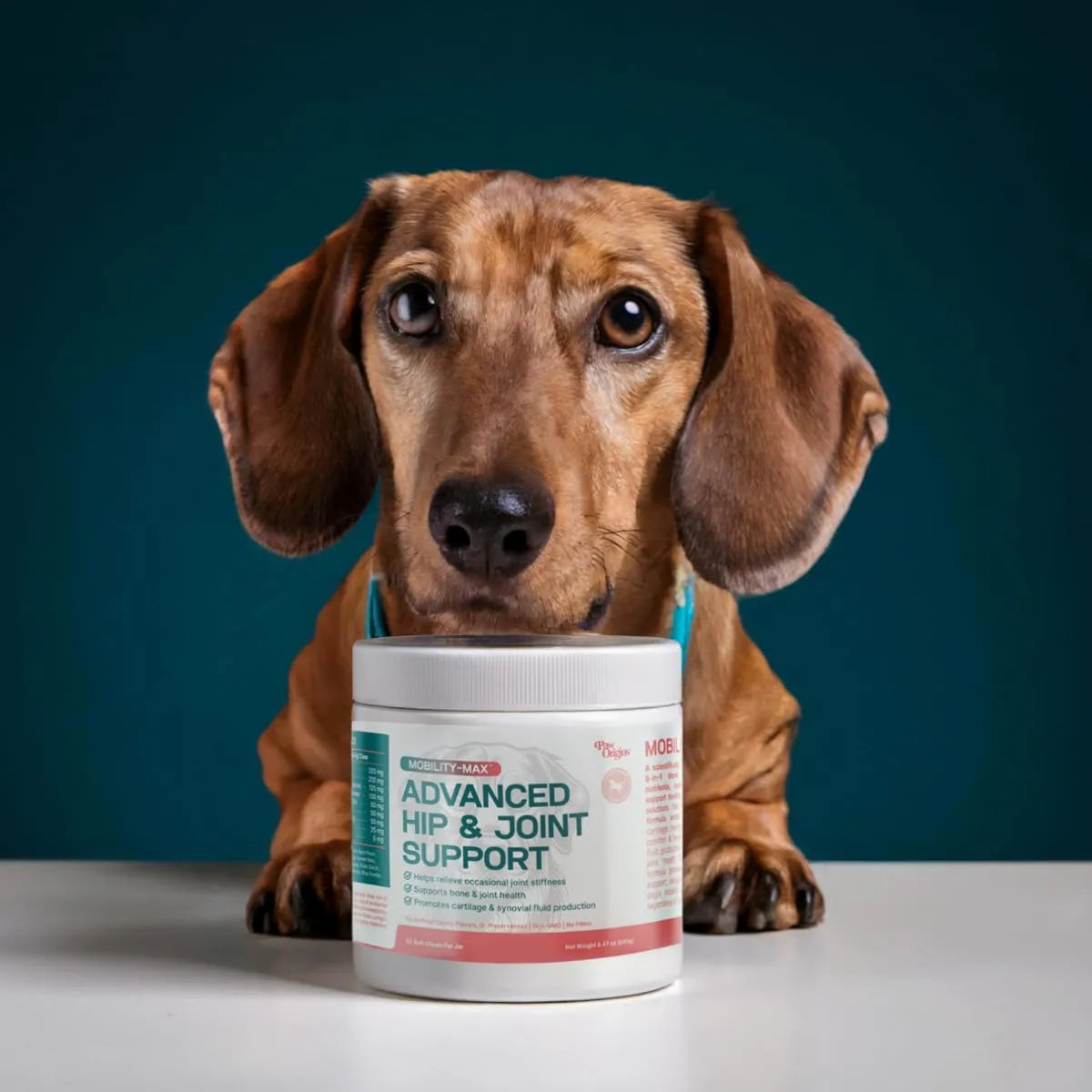 Mobility Max Suplemento Masticable Para Articulaciones De Perros Con Glucosamina Y Condroitina