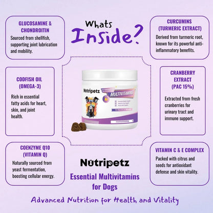 Multivitaminas Masticables Para Perros 120 Unidades Salud Cerebro Piel Y Digestión