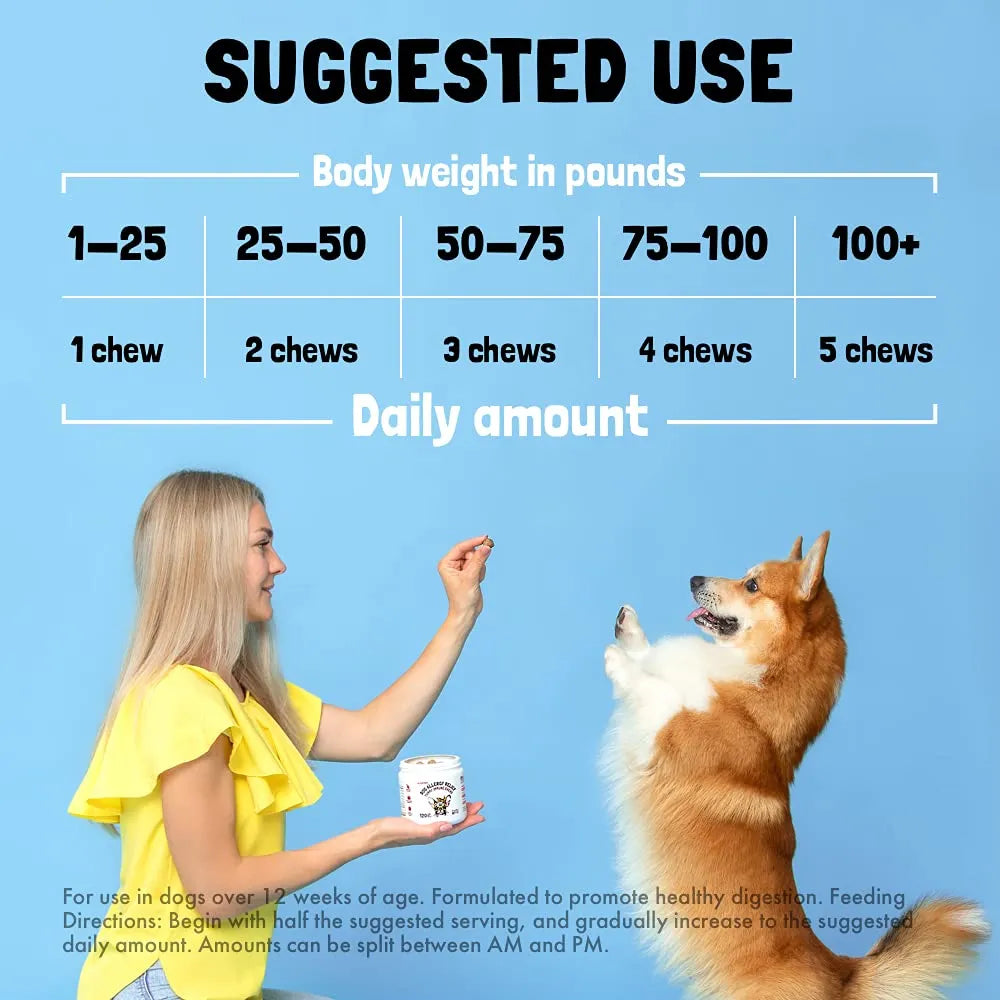 Vitaminas Masticables Para Perros Con Glucosamina Y Probióticos 120 Unidades