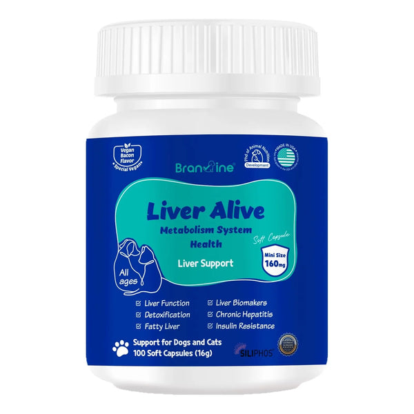 Sistema Metabólico Hepático Para Mascotas Función Hepática Hígado Graso Desintoxicación 100 Cápsulas