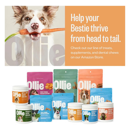 Suplemento Piel Pelaje Perro Alivia Irritacion Promueve Brillo Ollie 60 Unidades